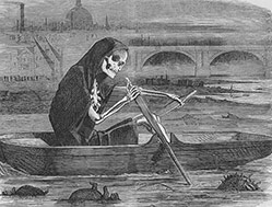 ARTIKEL: The Spotted Monster (Pocken)